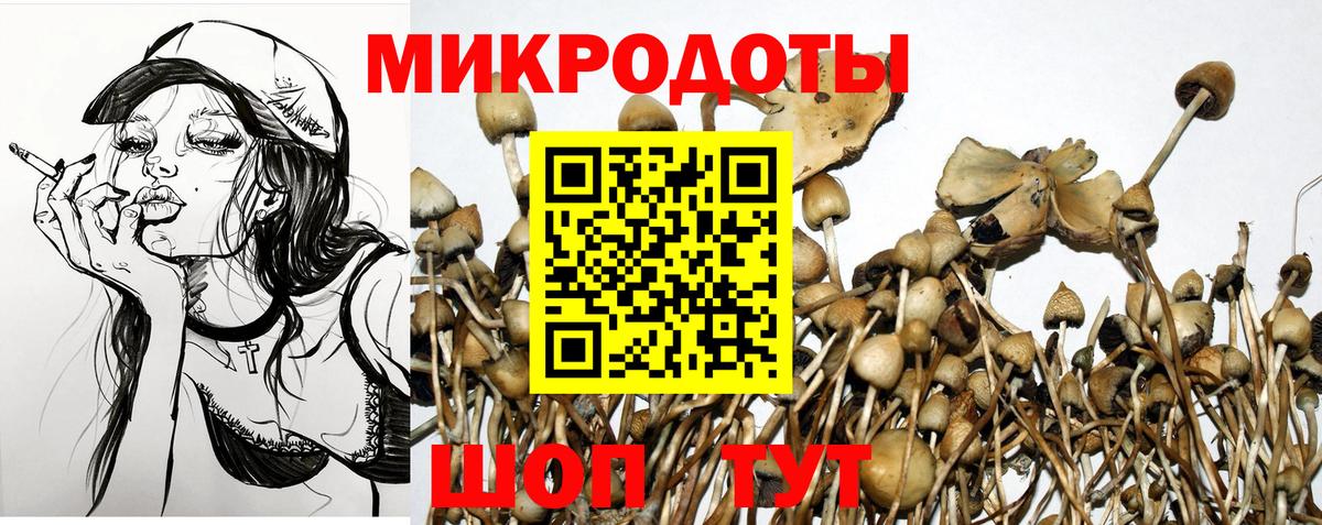 Киров  Псилоцибиновые грибы мухоморы  Вход с VPN 